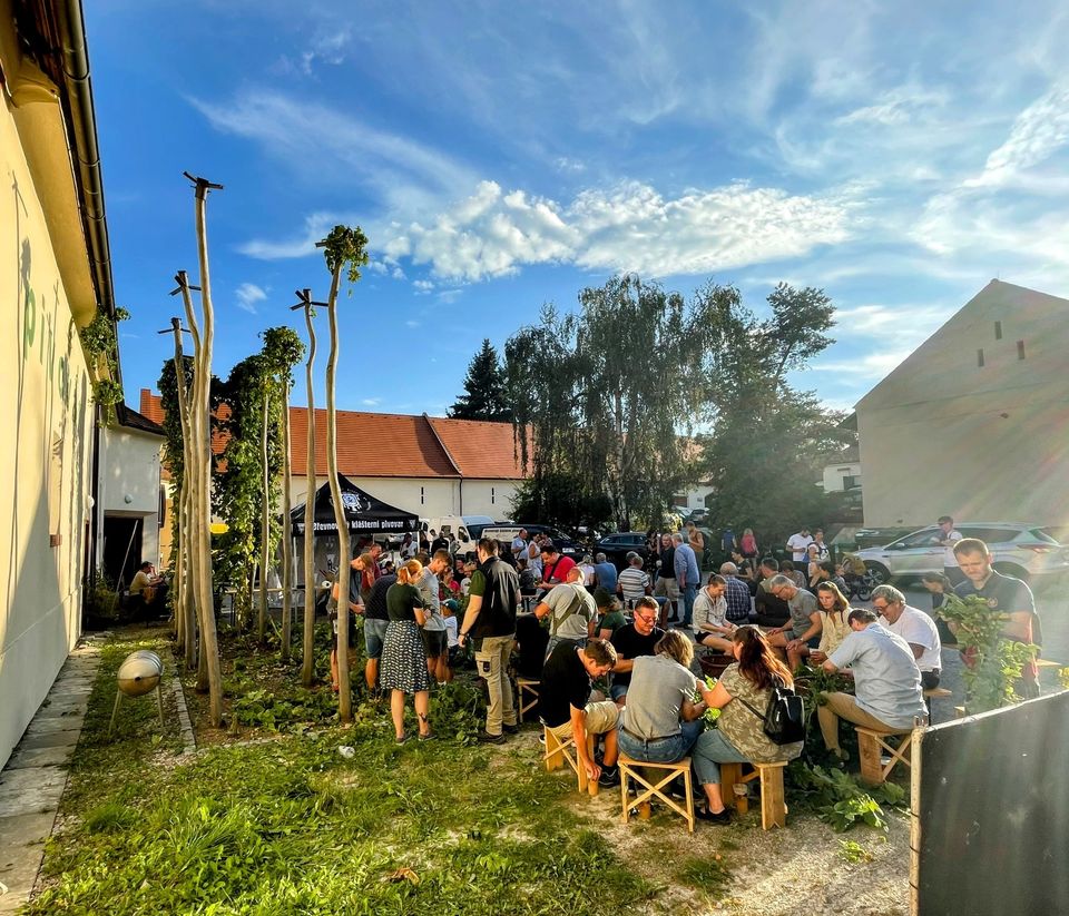 www.pivomol.cz wppivo.cz .uvirt137.active24.cz 366741981 787546536624832 8490196687353777148 n
