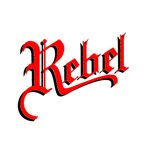 www.pivomol.cz wppivo.cz .uvirt137.active24.cz havlickuv brod rebel