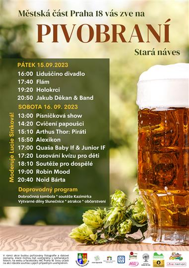 www.pivomol.cz wppivo.cz .uvirt137.active24.cz image 2