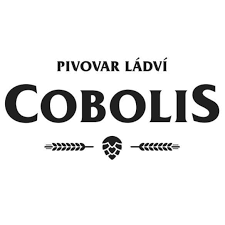www.pivomol.cz wppivo.cz .uvirt137.active24.cz stazeny soubor